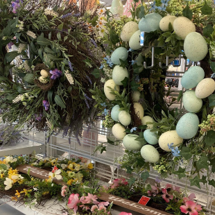 ross dress for less moletom com capuzs