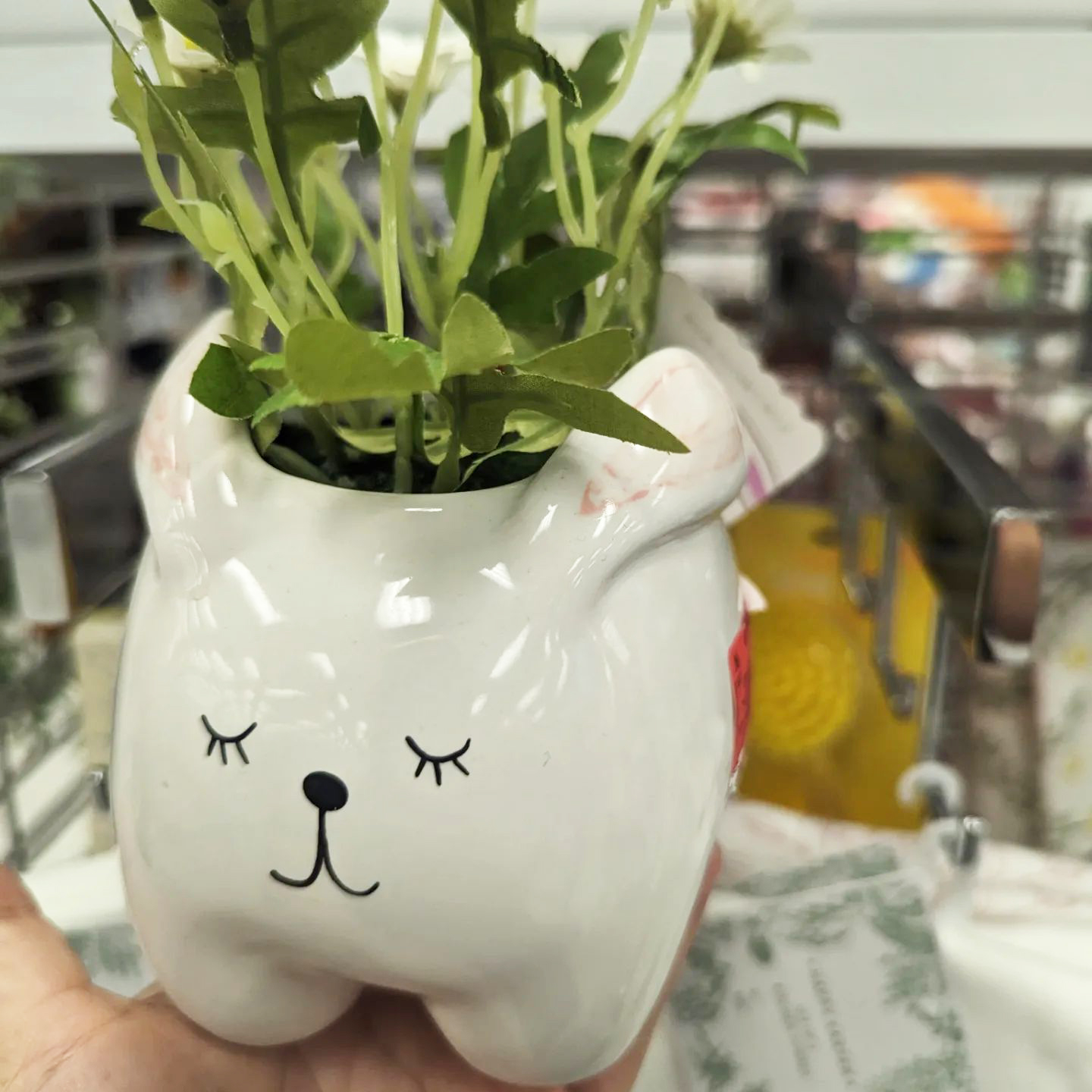 Affordable and cute ceramic Easter bunny planter from a Ross store