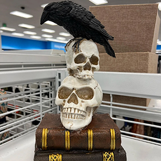 Halloween home decor: skulls, old books, and a crow from a Ross store