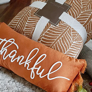 Affordable and stylish fall decor pillows from a Ross store