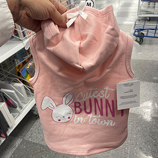 Cutest Bunny in town dog hooded sweatshirt from Ross.