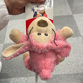 Affordable fluffy pink dog toy from Ross.