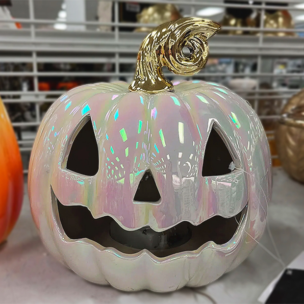 Iridescent pumpkin with gold stem, found in store at Ross.